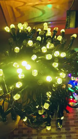 Sắm ngay bộ đèn led nháy 40m trang trí nhà cửa, sân vườn để đón Noel, lễ Tết nào các bác ơi #tiktokviral #denledtrangtri #trangtritet #trangtri #trangtrinhacua 