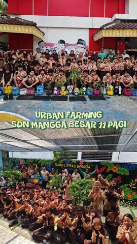 Urban Farming 🌱🌶️🥬🍅 #CapCut #fyp #urbanfarming #ketahananpangan #tanaman 
