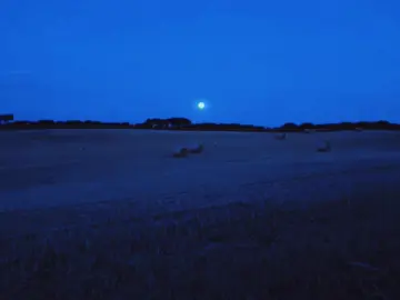 new song releases on 12th of December! @Nato Kitch #oneheart #bluehour #fyp 