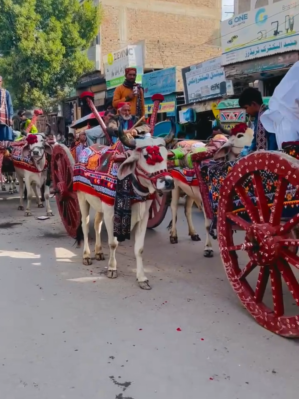 SINDHI CULTURE DAY.. MIRPURKHAS..❤️ #sindhiculture #fouryou #viralthisvideo 