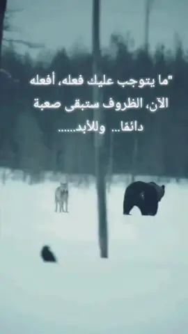 #في هذا اليوم 