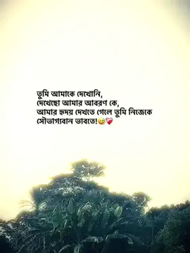 তুমি আমাকে দেখোনি, দেখেছো আমার আবরণ কে/