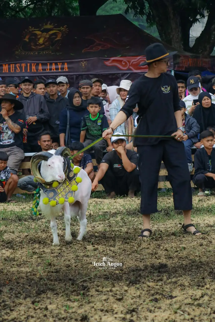 #hpdkijawabarat #pdpkawani #denmollet @teteh.pajar.awis 