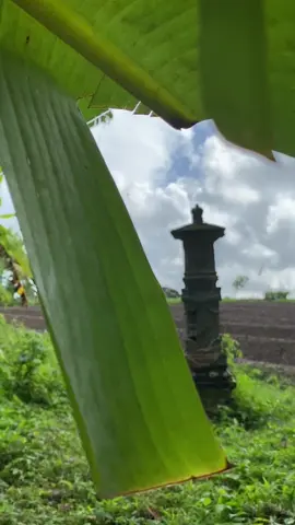 tahun depan nu ngidang kene na? #p #pengambunsuper⚡ #kaplikjahat 