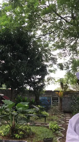 #pocongfyp #fyppppppppppppppppppppppp #bismillahrame #fypシ゚ #bismillahfypシ 