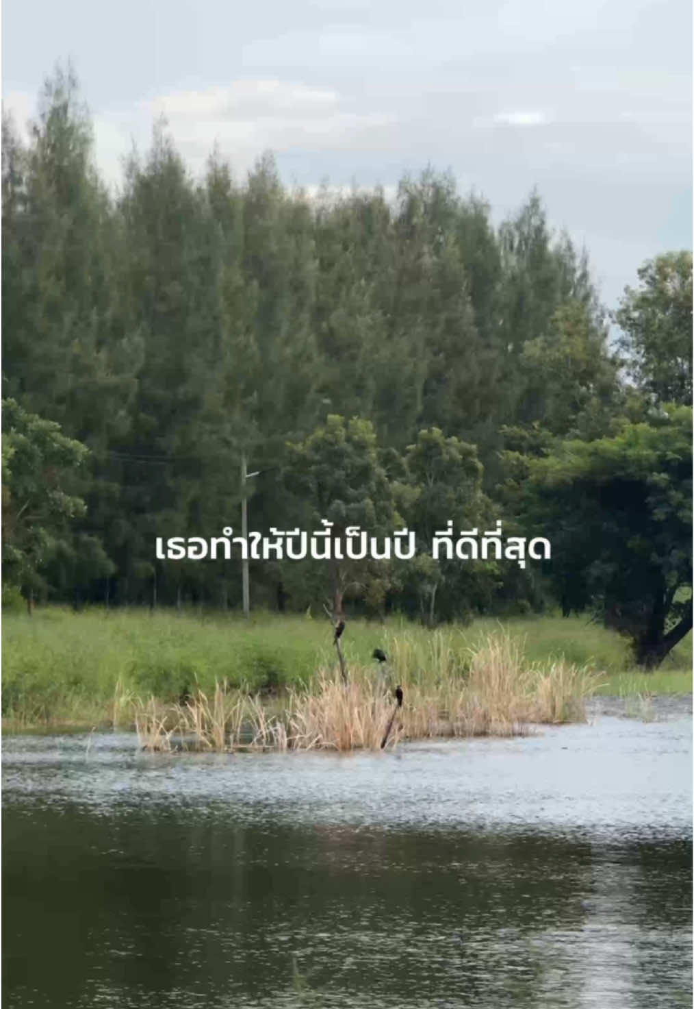 ตั้งแต่มกราถึงธันวา เธอทำให้ปีนี้เป็นปีที่ดีที่สุดในชีวิตเลย 💖 “Best Year” fellow fellow New Single 09 Dec 2025  fellowfellowband  #BestYear #fellowfellow #kicksrecords 