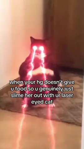 happens almost everytime😂✌️ #lasercat #giftok #slimetok #nichetok #fyp 