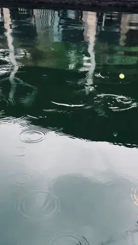 sore sore #masteranbawaljogja #galatamabawal #besutanbawal #besutanjogjakarta 