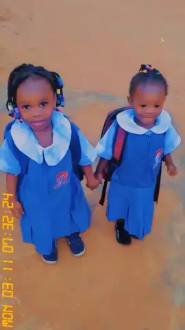 #everyonehighlightsfollowers #creatorsearchinsight #morelikesintiktok #fyp 