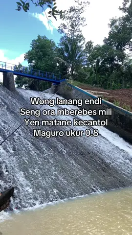 mberebes mili🥀#purworejo24jam #mancingsungailiar #fyp #masukberanda #mancingliar 