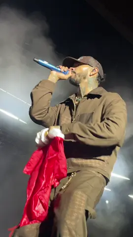 Concierto de Anuel AA en Perú! 🎶🇵🇪 #anuelaa #conciertosperu #limaperu #parati #viral 