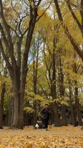 #CapCut #autumn #japan #fyp 