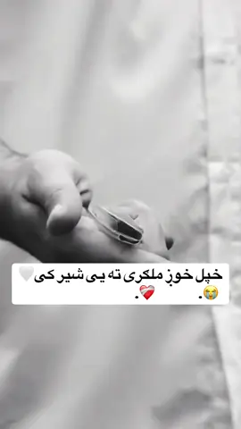 #پشتون_تاجیک_هزاره_ازبک_زنده_باد🇦🇫 #fouryou #پشتون_تاجیک_هزاره_ازبک_زنده_باد🇦🇫 #پشتون_تاجیک_هزاره_ازبک_زنده_باد🇦🇫 #fuyyyyyyyyyyyy 