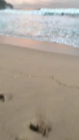 pantai molang 17.45 wib #fyp #pantai #molang #tulungagung 