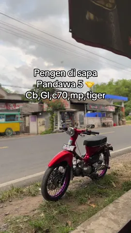 Pitung menyapa#pitunggank🤙 #pandawa5 #cbglmptigerc70seduluransaklawase 