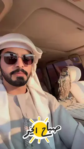 #مقناص #explore #طير 