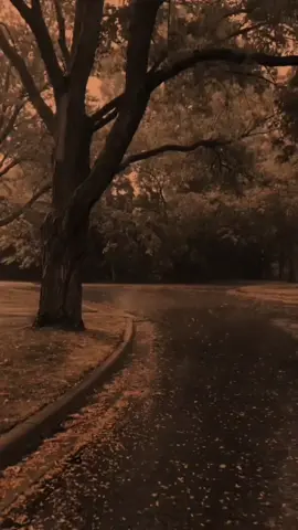 #الموصل_دهوك_اربيل_بغداد_كركوك 