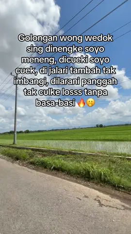 Lungo tanpa noleh buri 😏 #fyp #fyppppppppppppppppppppppp #foryoupage #xyzabc #bismillahfyp 