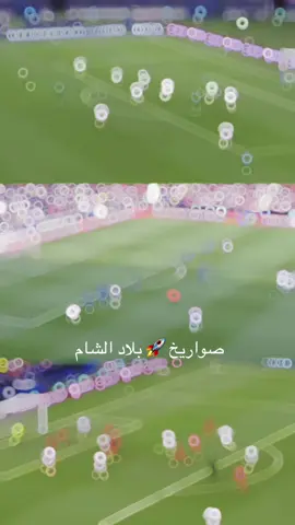 جنون بلاد الشام #سوريا🇸🇾 #فلسطين🇵🇸 #الاردن🇯🇴 #كاس_العرب 