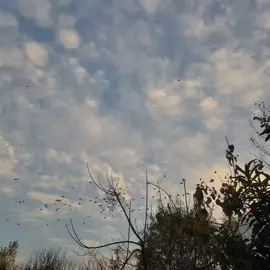 for you 1 #1m #viral 