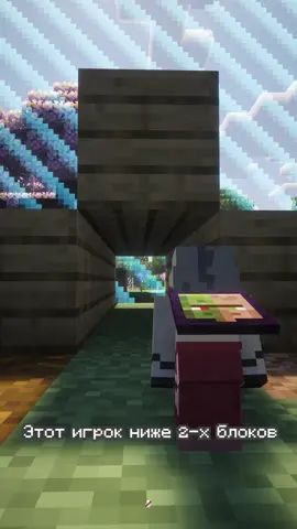Этот игрок ниже 2-х блоков на сервере выживания в одном чанке! #minecraft #майнкрафт