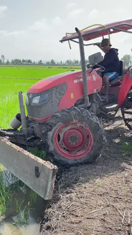 🌺🍃Chúc 🌺🍃cả nhà 🌺🍃vui vẻ 🌺🍃