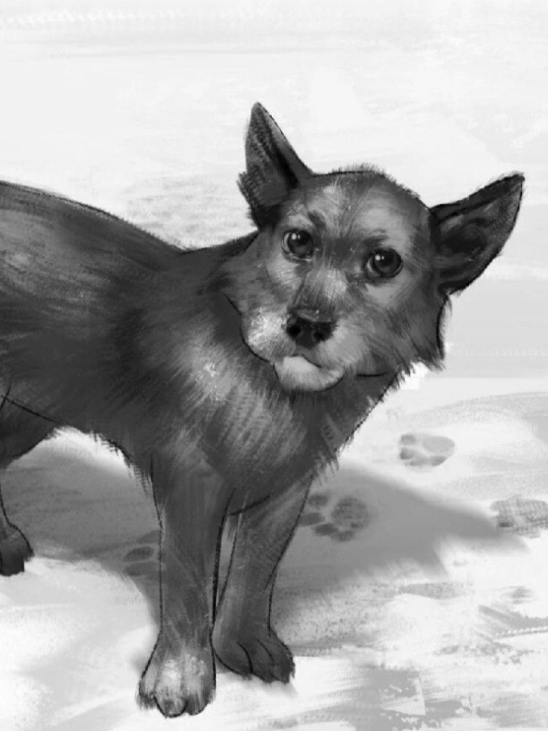 #TINYBUNNY можешь | #bellamy #новелла #зайчик #антонпетров #жулька 