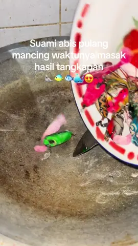 Istri yang sangat perhatian😘🥰#mancing #soflureikan#umpanmancing #umpancasting 