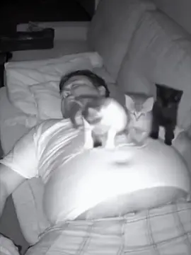 HurricaneMelissaupdate-12ho6n,Jam aica.Footageasthehurricanemakeslan dfallwithhistoric185mphwinds#hurric anemelissa#melissa#jamaica#news#fyp