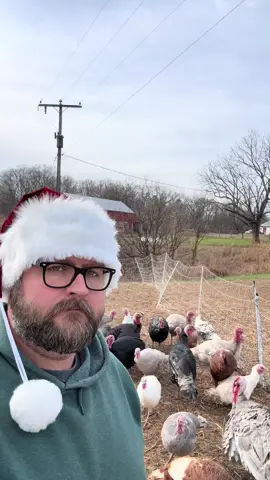 Be good for goodness sake 🎅🏼👨🏻‍🌾🦃🤣 #dadjokes #christmas #santa #turkey #funny 