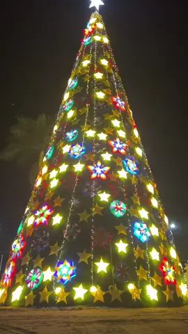 First big christmas tree of Capitol-Davao de Oro@rigilkentz #HolidayCheer #davaodeoro 