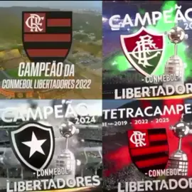 25 Libertadores em sempre da Glória Eternaaaa!! #libertadores #fypageシ #viralizandonotiktok #argentina #brasil🇧🇷 