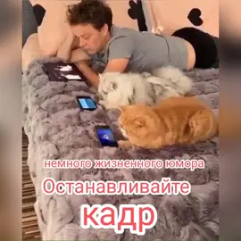 Немного жизненного юмора!