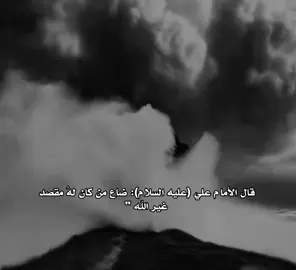 #اكسبلور #تيك_توك 