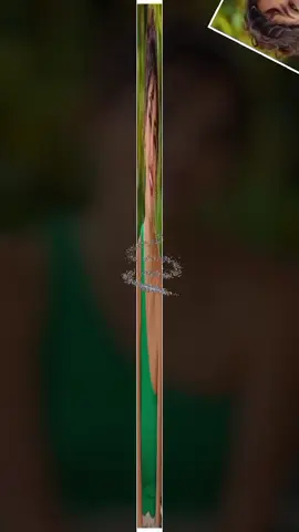 #CapCut #💞💞 💫#CapCut الحلوه اللي باعتني كانت تبقى حب وعمري#💞💞 💫#