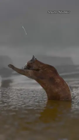 Pengingat Untuk Kita Semua #sibotak 