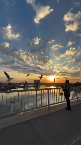 ⁨ Baghdad 📍 . .  .    ⁩⁩⁩⁩ #fyp #foryou #foryoupage #viral #tiktok 