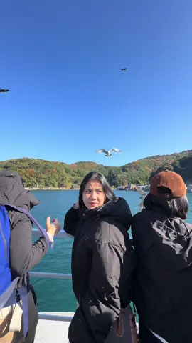Sea? Nope! It’s a lake — Japan’s biggest, Lake Biwa. #japan #japanofw🇯🇵 #kyoto #fyp 