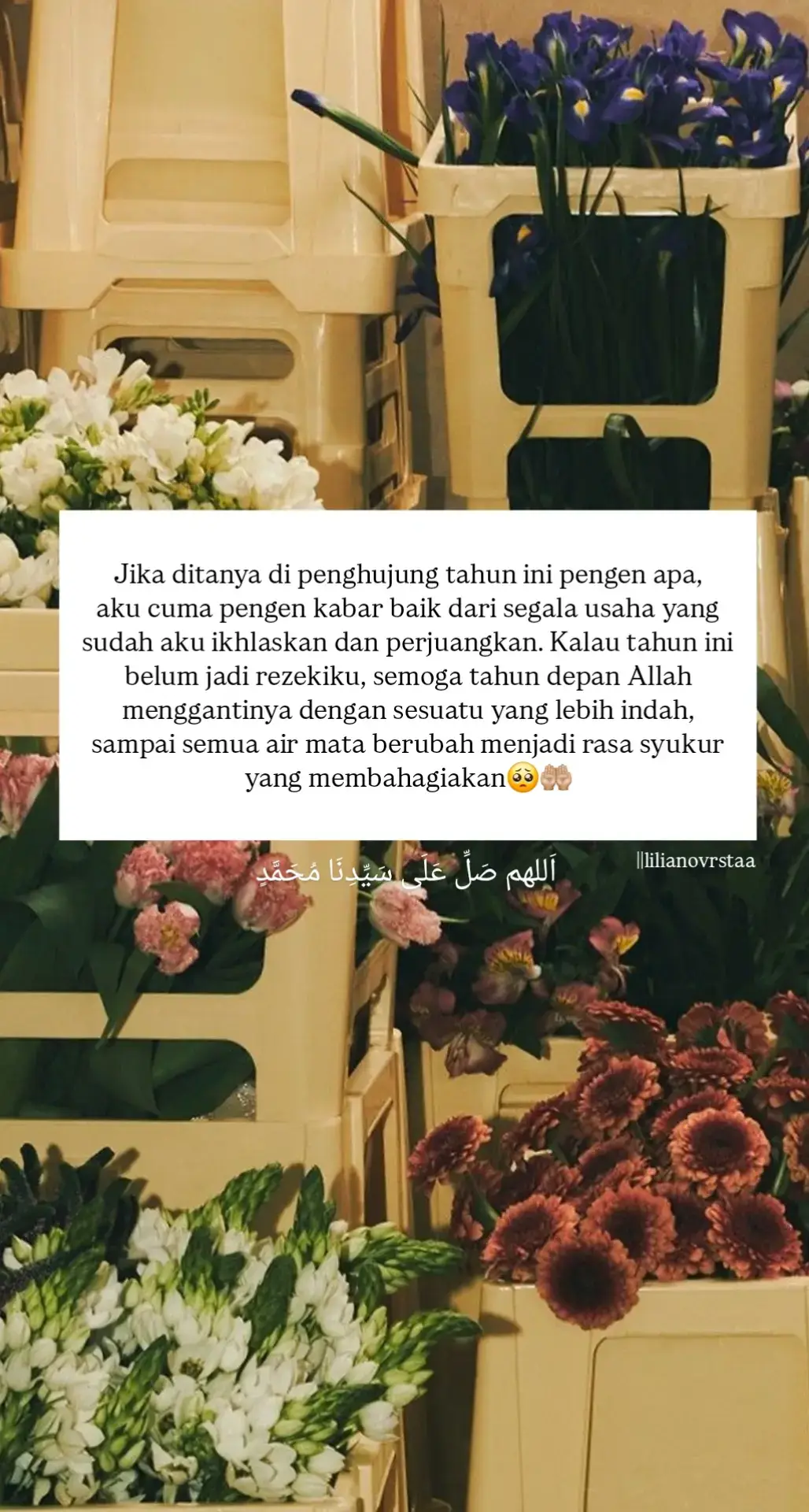 #harapanbaru #bismillahirrahmanirrahim #janganlupabersyukur #fypage 