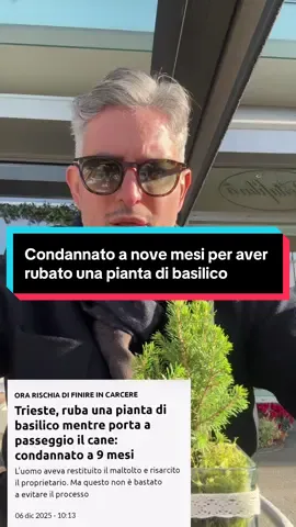 Condannato a 9 mesi perché a rubato una pianta di basilico leggi italiane a senso unico 