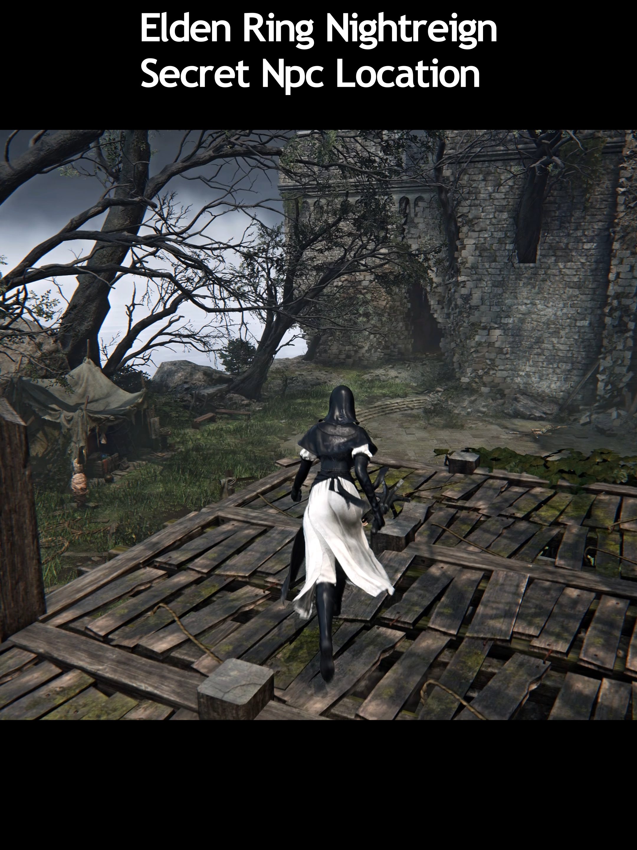 Insane secret npc #eldenringnightreign