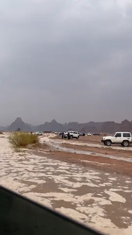 .🤎🤎🤎🤎😔 #تبوك #بجده #اكسبلور #fyp #explore 