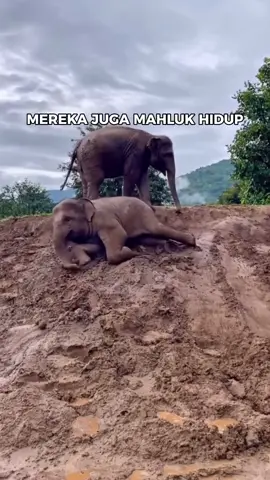 🙏🏻❤️ Please Share