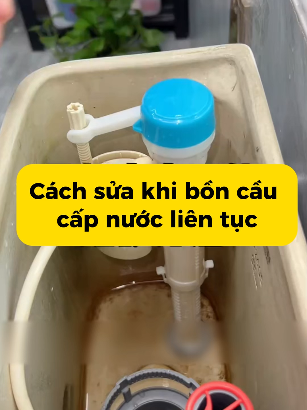 Bồn cầu chảy nước không ngừng mà không biết sửa là mất tiền oan mỗi tháng!💸 Làm đúng cách này là dừng ngay — tiết kiệm cả trăm nghìn!🚽✨ #MẹoVặtGiaĐình #MẹoVặtCuộcSống #MẹoHayMỗiNgày #meonho #meovatgiadinh #xuhuong #meohay #trending #mẹovặt #MeoVatGiaDinh #HackCuocSong #viral #CleanTok #boncau #suaboncau