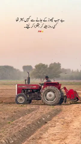 #foryou #viral #fyp #viralvideo #foryourpage 