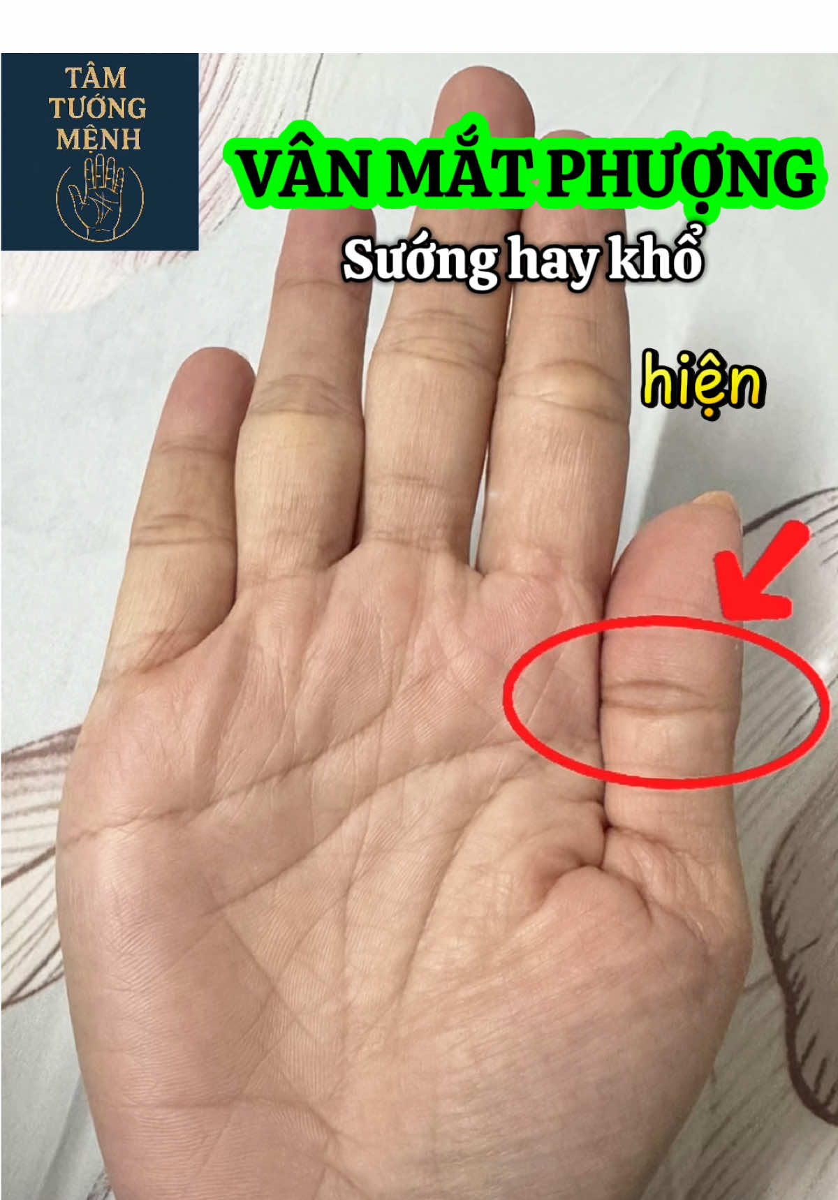 VÂN MẮT PHƯỢNG #xemchitay #tamtuongmenh #coiboichitay #xemboi #xemchitayonline 