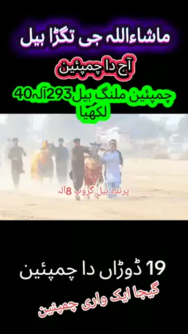 #foryoupage❤️❤️ #viralvideo #parindabailgroup8ala2 #foryoupage❤️❤️ #viralvideo 