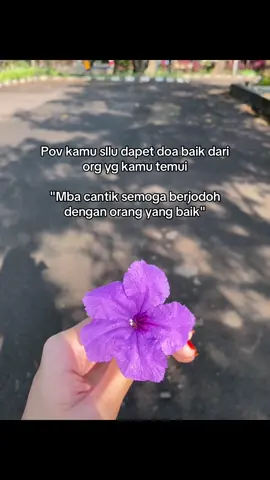 Masya'allah Aamiin terimakasii✨ . . . #fyppppppppppppppppppppppp #lewatberanda #pengikut #viewers #fyp 