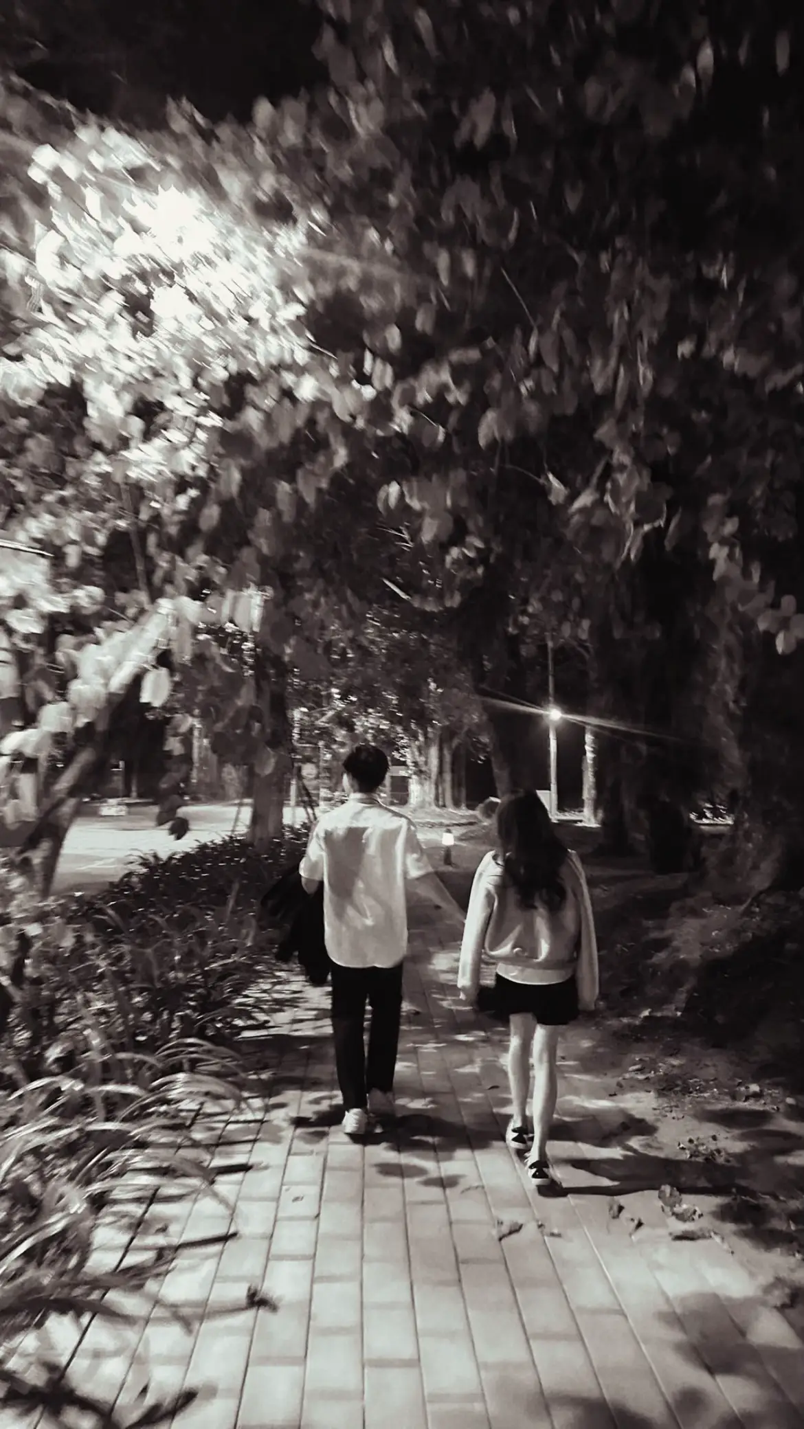 #fyp  mợt mỏi nhắm