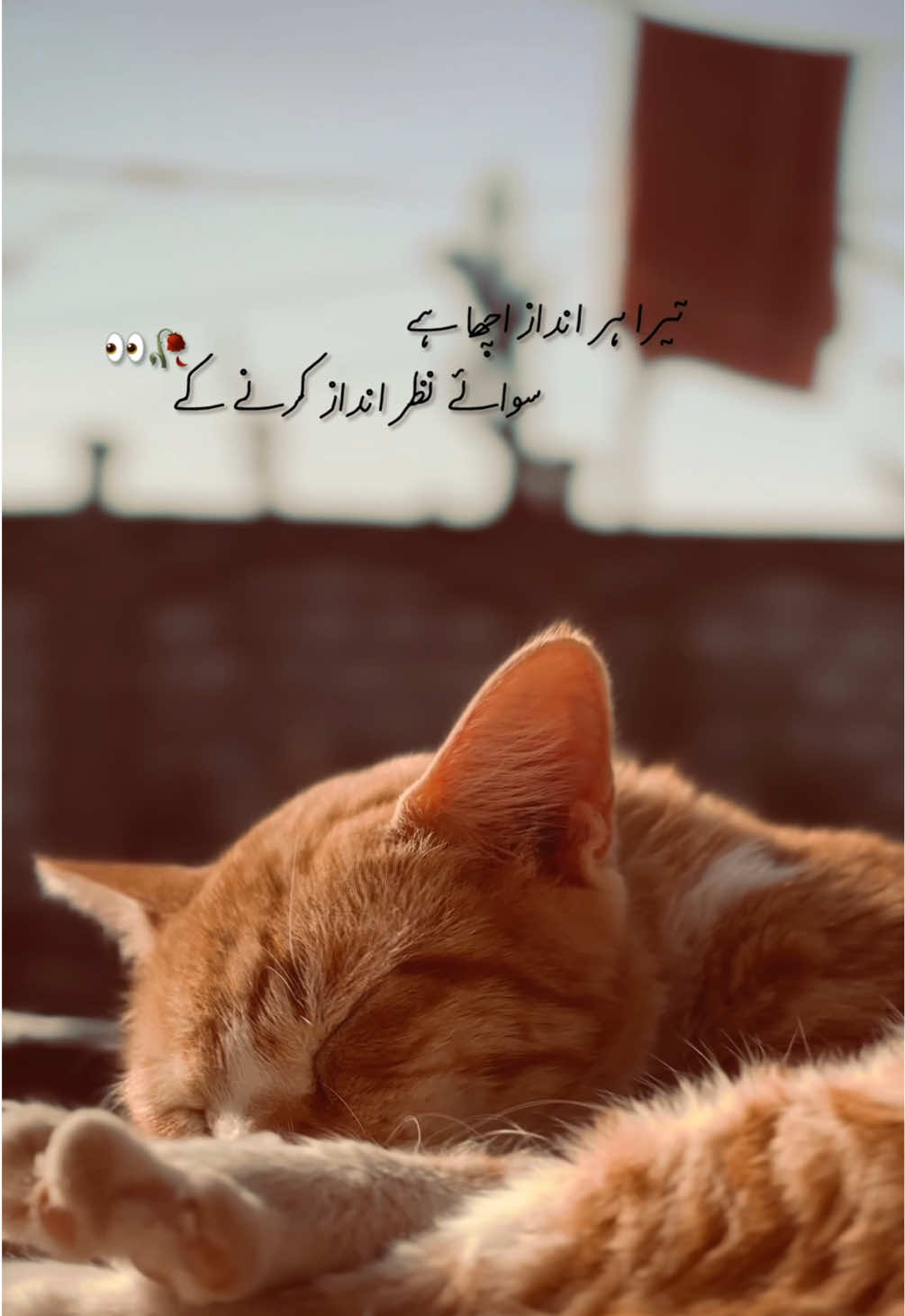 ہر انداز 🥀 #urduline🥀 #aesthicvibes #urdupoetry #hassanvibeess #amber 